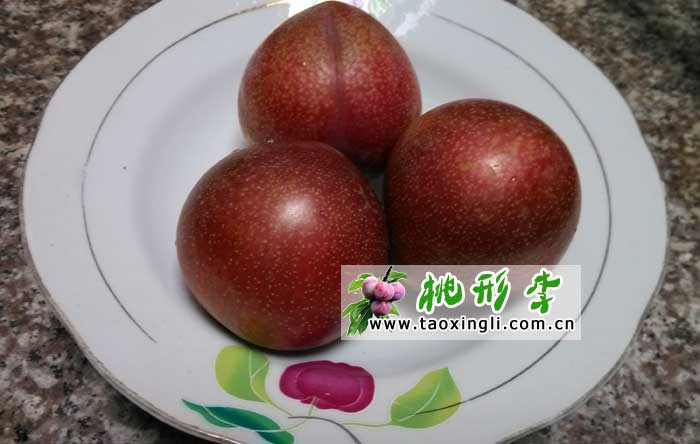 嵊州桃形李